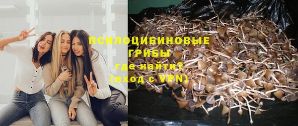 MESCALINE Дмитровск