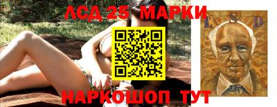 гашик Гатчина