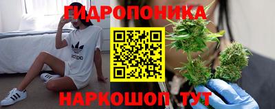 прущие грибы Вязьма