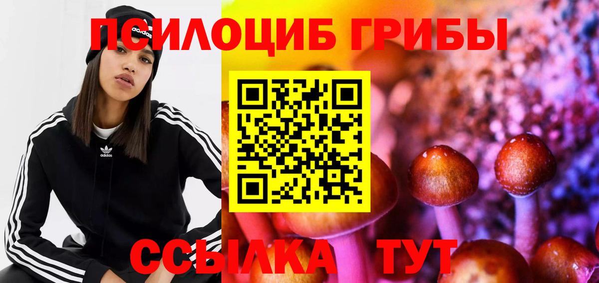 Псилоцибиновые грибы MAGIC MUSHROOMS Лесозаводск