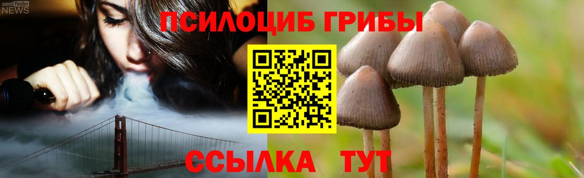 Галлюциногенные грибы мицелий  Вход с VPN  Лесозаводск 